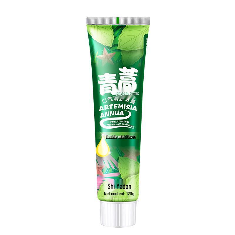 Artemisinin Herbal Toothpaste for Gum Care - 120g, Fresh Breath & Oral Health