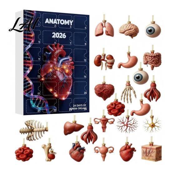 Creative Science Decor 2026 Anatomy Advent Calendar 24-Day Body Organ Ornament Set Human Anatomical Acrylic Hanging Charms for Christmas Tree Gift