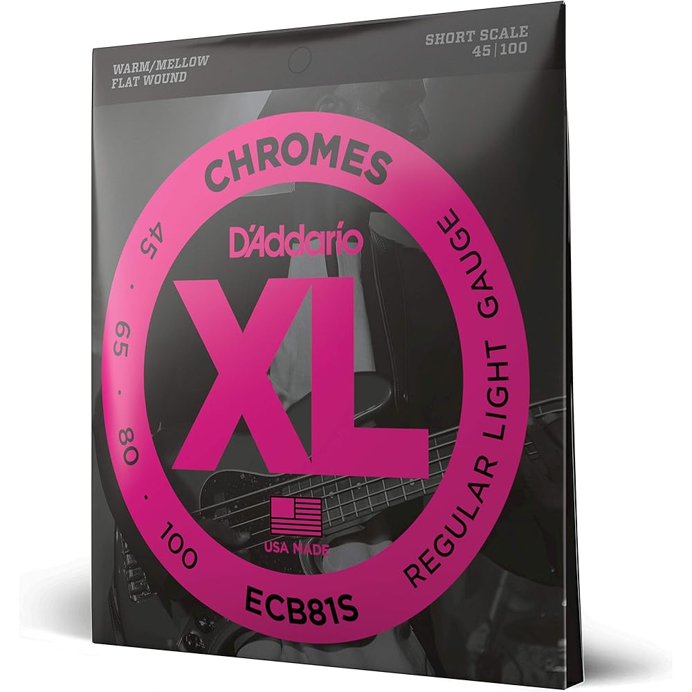 D'Addario Daddario Bass String Flatwound Short Scale .045-.100 ECB81S [Domestic Genuine]