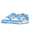 Nike Dunk Low Coast