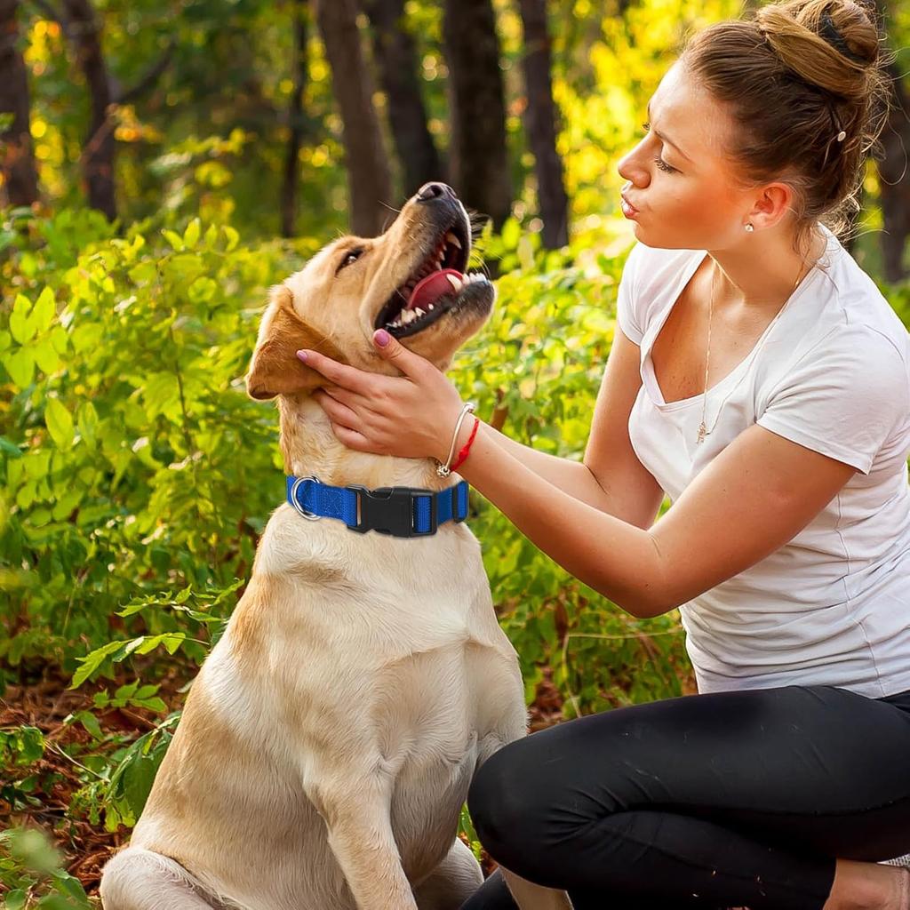 4 Pack Medium Basic Dog Collars Adjustable Dog Collars for Large Breakaway Dogs Collar Classic Pet Dogs Collar with Quick Release Buckle for Walking