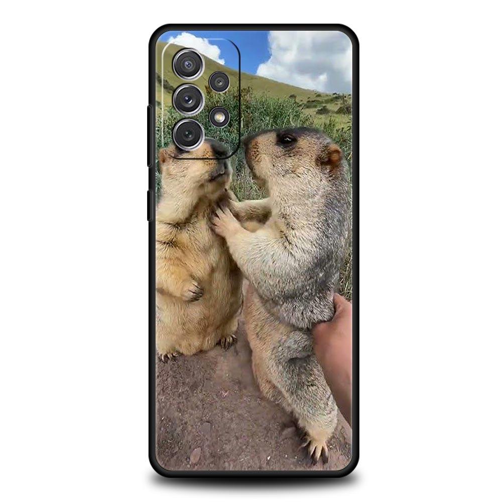 

marmot Phone Case for Samsung Galaxy A17 A13 A15 A25 A35 A51 A55 A71 A21S A11 A31 A41 A23 A53 A73 A32 5G A03S A05s Cover Samsung A51