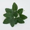 Simulation Plants Leaves Turtle Back Traveler Banana Holiday Party Decor Plastic Peacock Arrowroot Leaf Artificial Green Plant