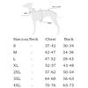 Spring Summer Pink Raincoat For Italian Greyhound Windproof Waterproof Grey Jacket For Whippet Dog Adjustable Hat Coat