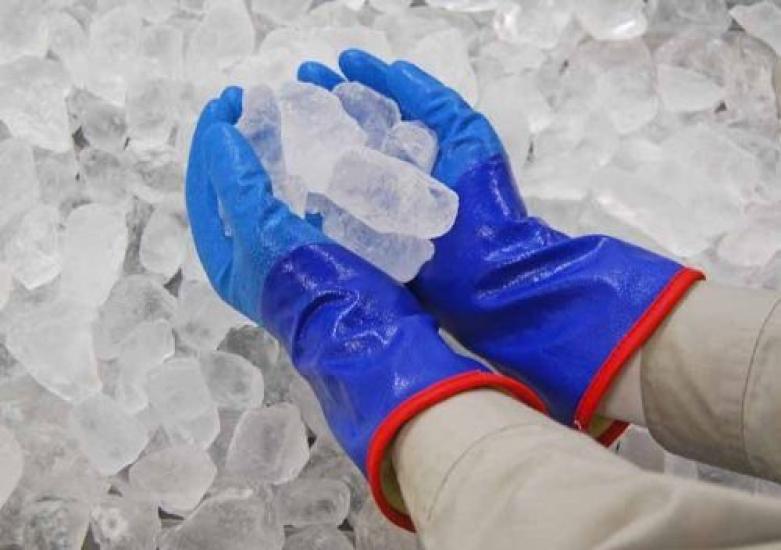 Showa Gloves Temless Cold Weather Gloves - (5 Pairs, Fleece-lined) (035-282, L)