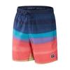 Speedo Mens Gradient Print Swim Shorts