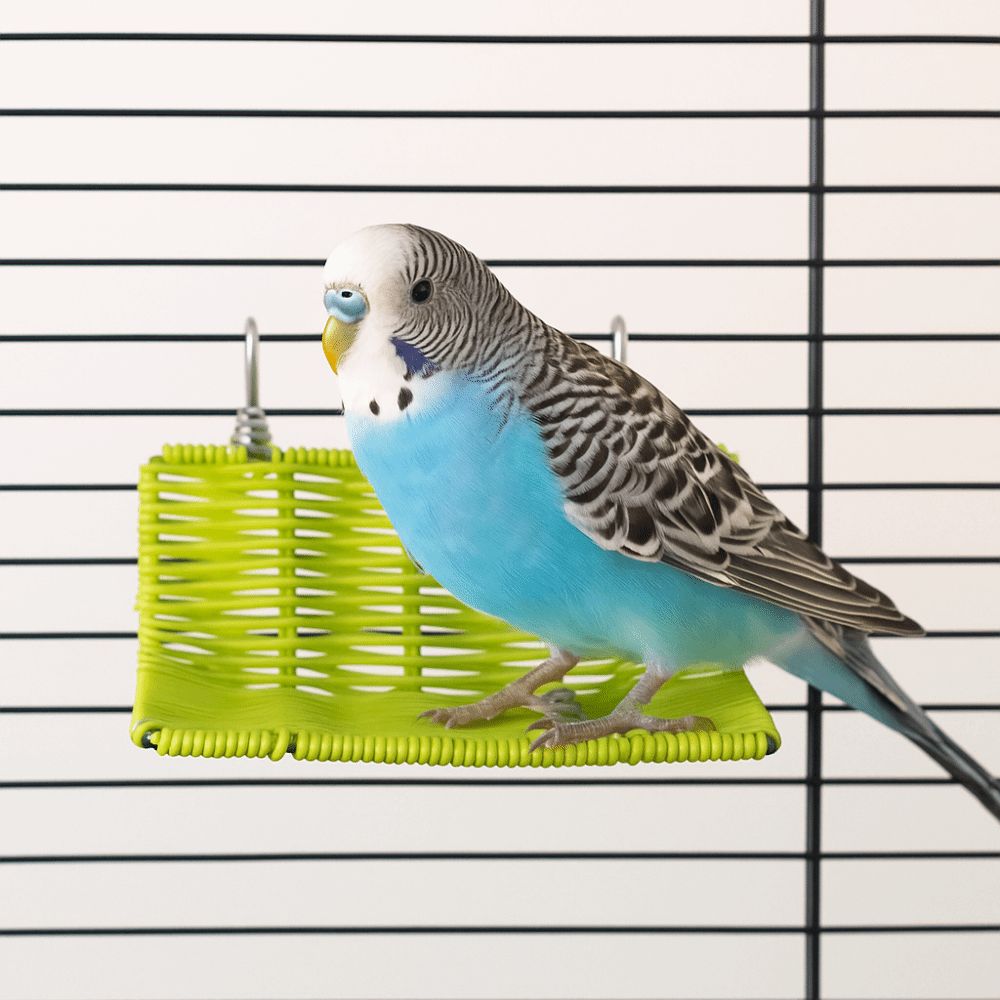 Imitation Vine Bird Resting Stand Bite Resistant Parrot Perch Toy  Behavior Training