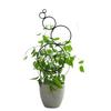 Trellis For Potted Plants Indoor Small Stackable Metal Wire Houseplant Trellis For Climbing Plants Support