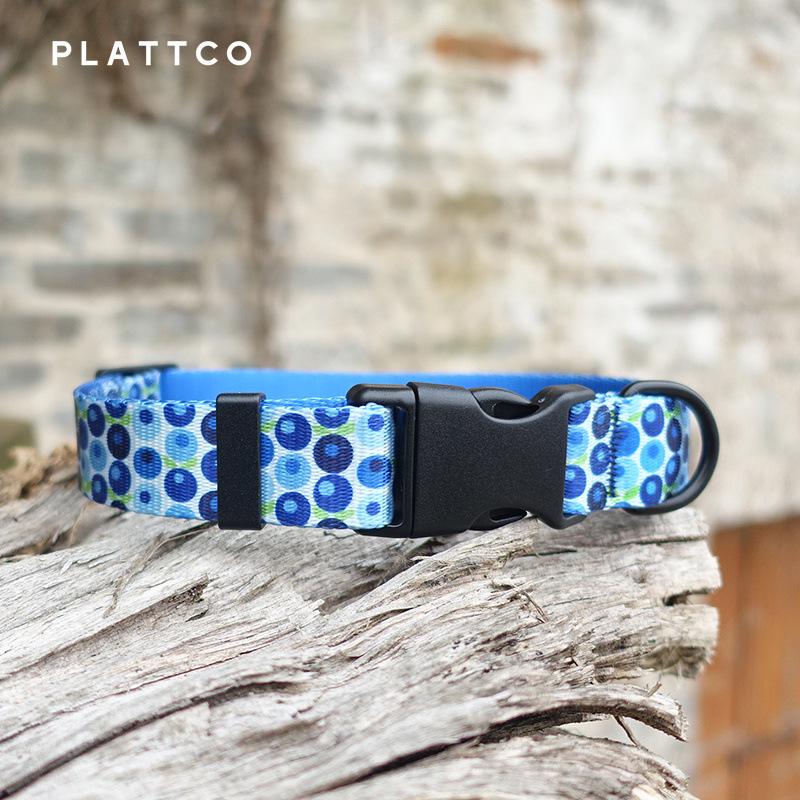 Plattco Fashion Pet Collar - Printed Fruit Series (PDC328) M 2.5cm (42-48cm)