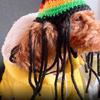 Novelty Dreadlocks Pet Hat Fun Woolen Costume for Dog Cats Great for Daily Wear Halloween Birthdays and Event Dressingup