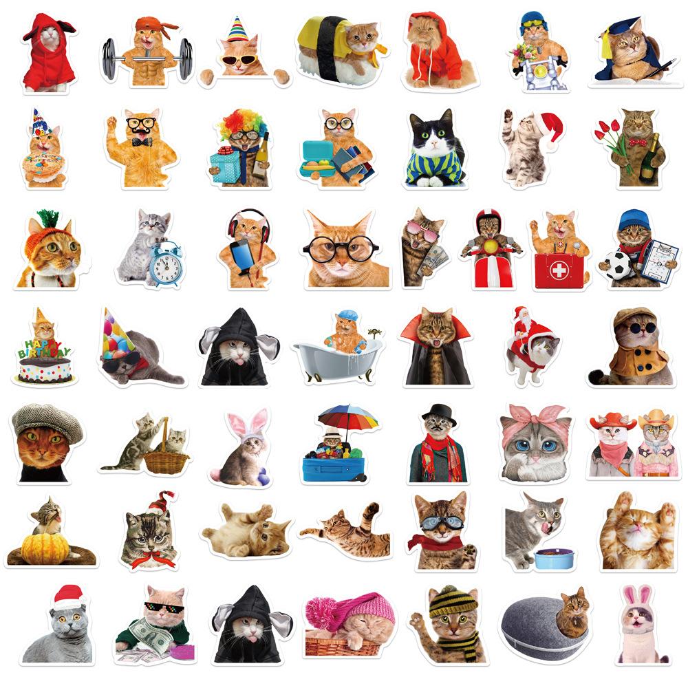 10/30/50pcs Cute Funny Animal Cat Meme Stickers Creative Cartoon Sticker DIY Stationery Phone Luggage Helmet Sticker Decoration