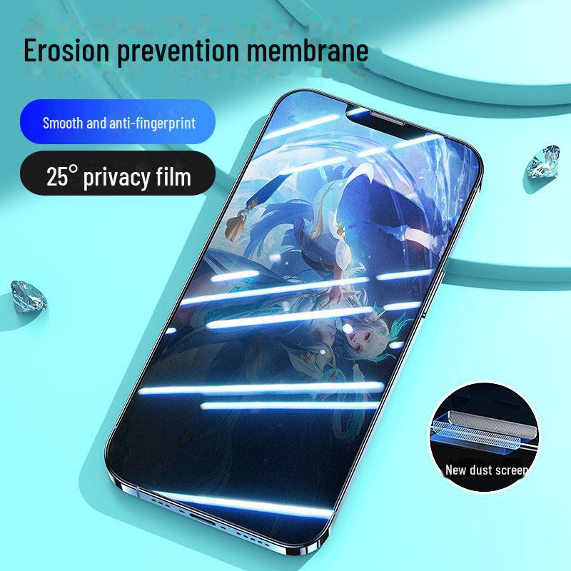 Mattierter Displayschutz aus gehärtetem Glas mit Anti-Peep-Effekt für iPhone 11, 13, 14 Pro Max und 15 mit staubdichtem Netz