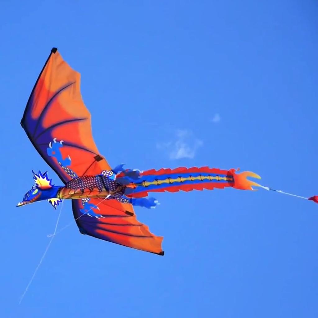 Upgrade Classical Dragon Kite, Easy to Fly for Beginners and Adults, 63-Inch Single Line with Tail