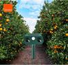 1Pc Solar Mouse Repellent, Ultrasonic High-power Bird Repellent, Orchard Farm Flash Outdoor Garden Snake Repellent