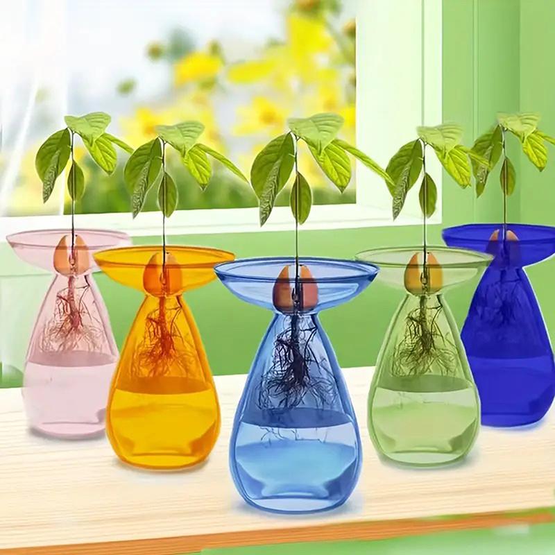 Colorful Transparent Avocado Hydroponic Vase Glass Avocado Seed Starter Vase Plant Seed Growing Kit Gardening Lovers Home Decor