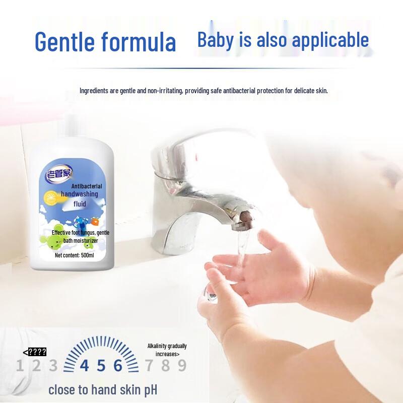Laoguanjia Antibacterial Hand Wash - Camellia Scent (2 x 500ml)