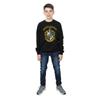 Harry Potter Boys Hufflepuff Sweatshirt