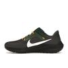 Nike NFL X Air Zoom Pegasus 40 Green Bay Packers Men Sneakers Black Anthracite Fir DZ5964-001
