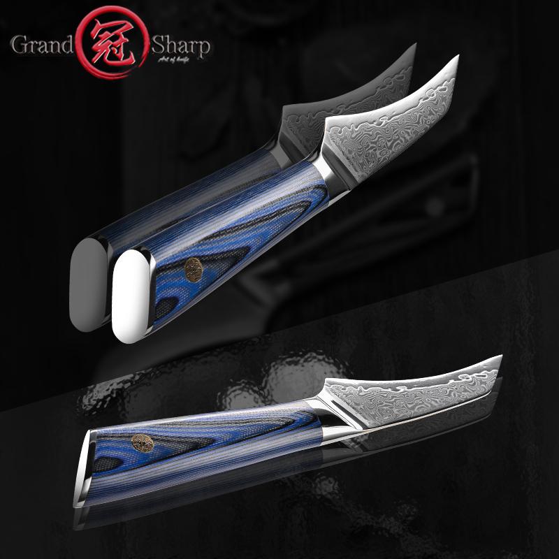 3,5-Zoll-Ausbeinmesser Japanischer VG10-Stahl 67 Schichten Damaststahl Küchenmesser Ausweidemesser mit G10-Griff GRANDSHARP