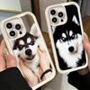 Phone Case for iPhone 17 Air 16E 15 16 Pro Max Alaskan Husky Cute Dogs Cover 14 Plus 13 12 Mini Soft Shell Silicone Fundas
