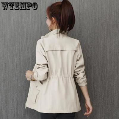 Spring Dress Waist Slim Small Windbreaker Women's Spring and Autumn Women's Stand Collar Age-reducing Coat