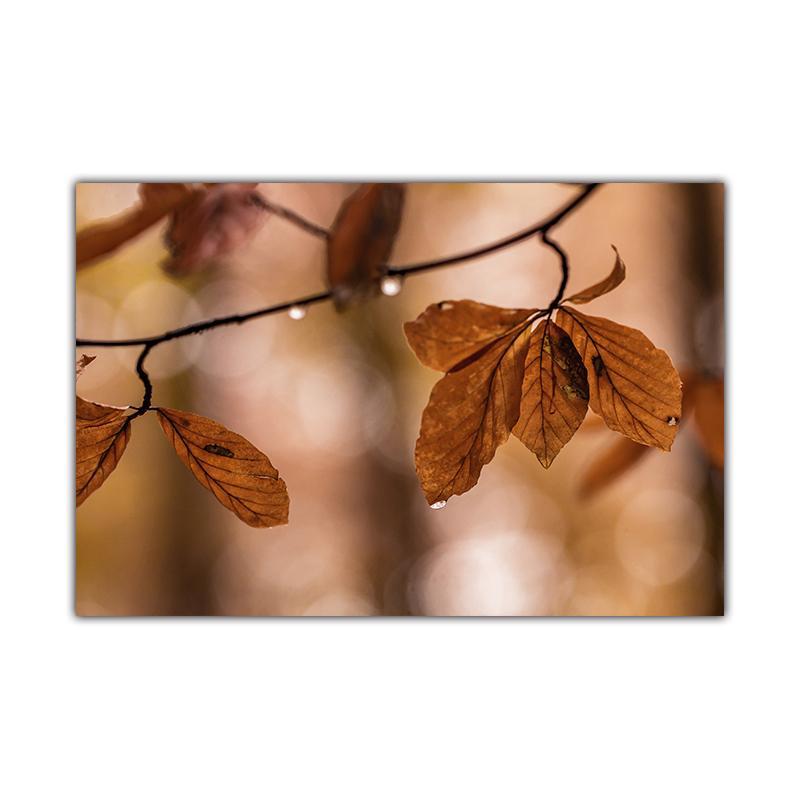 

Natural Landscape Autumn Golden Maple Leaves Sunlight Forest Hut Tree Posters Prints Wall Art Canvas Painting Landscape Room Decor 20x30cm