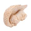 Dog Angel Memorial Statue with Wings LED Decorative Lights Realistic Weatherproof Long Lasting Pet