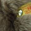 [USED] Steiff teddy bear