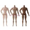 Professional 12.20Inch PVC Miniature Figure Strong Dolls Male Articulated Body