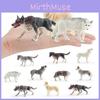 Childrens Wildlife Animal Pvc Model Set With Realistic Wolf And Husky Figures For Educational Play