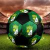 SIZE 5 León FC Soccer Ball Colorful All Ages Machine Stitched PVC Competition Ready Durable High-Bounce