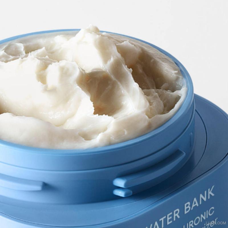 LANEIGE Water Bank Blue Hyaluronic Intensive Cream 50ml (+Free Gift)