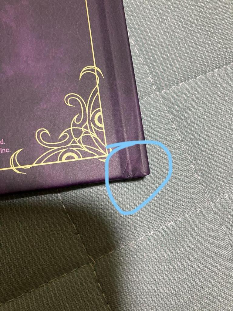 [USED] Super Detective Casebook Rain Code North American Edition Switch Soft Case Shinigami-chan