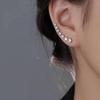 New Style Earrings for Women, Exclusive Small Earrings for Autumn and Winter, High-end Ear Accessories with Sophisticated Style