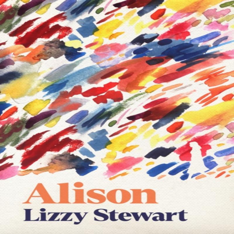 Alison by Lizzy Stewart Hardback Book 9781788169059