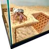 Hermit Crab Habitat Tunnel Cave Hidden Corner Environment Decoration Made Of Eco Friendly Resin For Reptile Tank Hide Setup