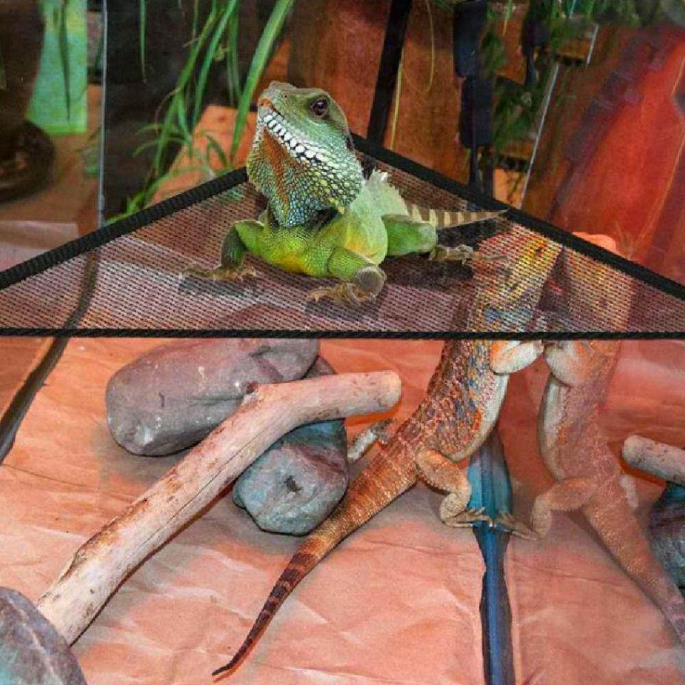Elastic Triangle Pet Accessories Reptile Habitat Bird Ladder Bearded Dragon Hammock Lizard Bed