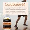 Pslalae Cordyceps Sinensis + Mushroom Extract Capsules - Energy, Immune Health