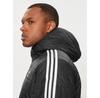 Transition Jacket Adidas HM2461