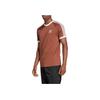 Adidas Originals Striped Crew Neck Pullover Straight Cut Raglan Short Sleeve T-Shirt Men T-Shirts Brown IZ3071