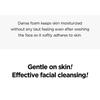 Isntree - Hyaluronic Acid Low pH Cleansing Foam