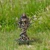 2D Waldgartenpfahl Sitzender Elf Pfahl Stehender Baum Elf Pfahl für Rasen Dekorative Garten