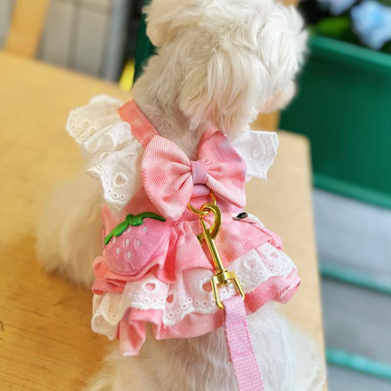 Pet Clothing Korean Version Pomeranian Dog Clothes Princess Leash Skirt New Spring and Summer Clothing