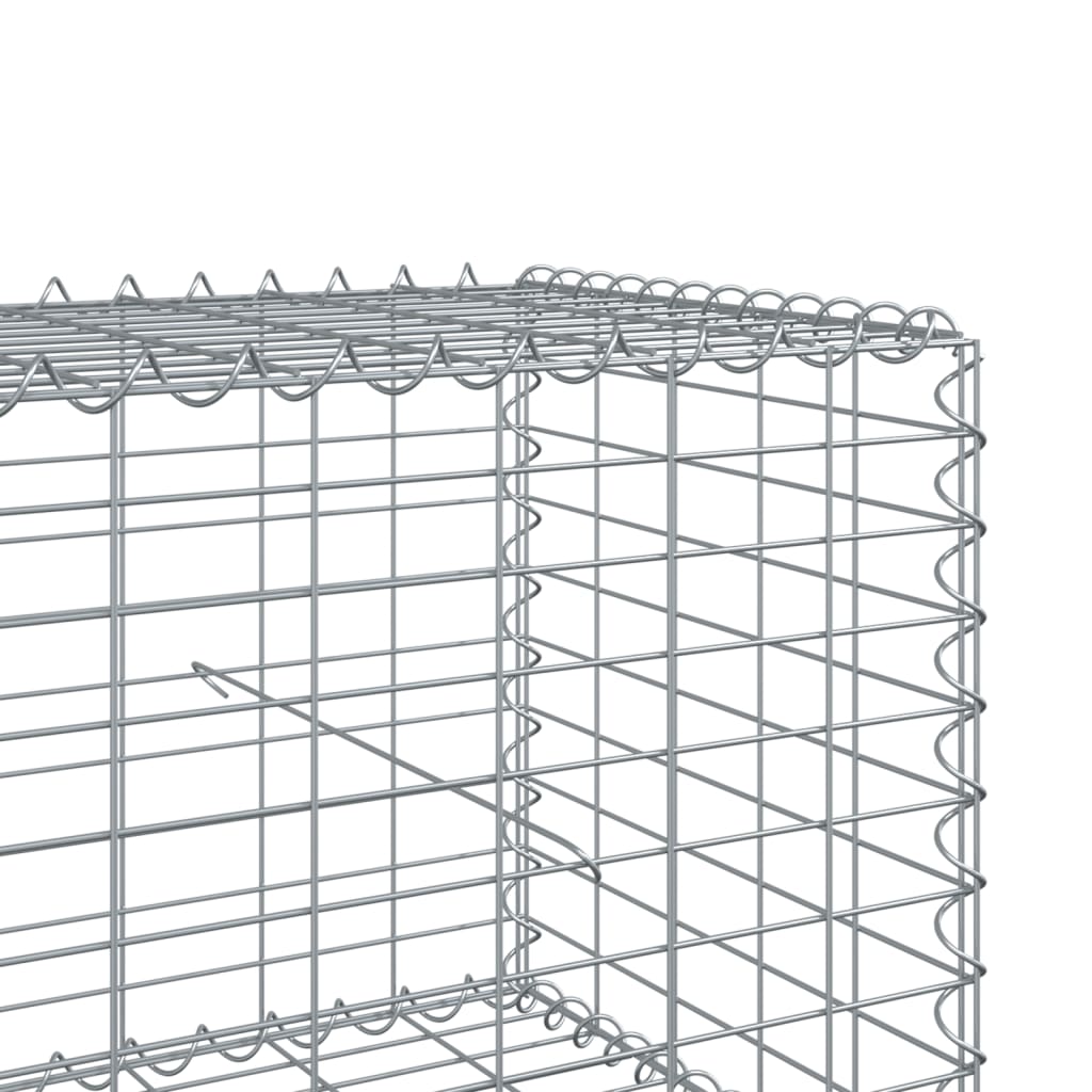 Gabion with Lid 200x100x50 Cm Galvanized Iron