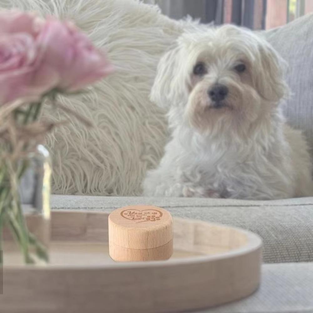 Wooden Pet Hair Keepsake Box Durable Pet Memorial Box Remembrance Box Dog Ashes Box  Memorial Gift