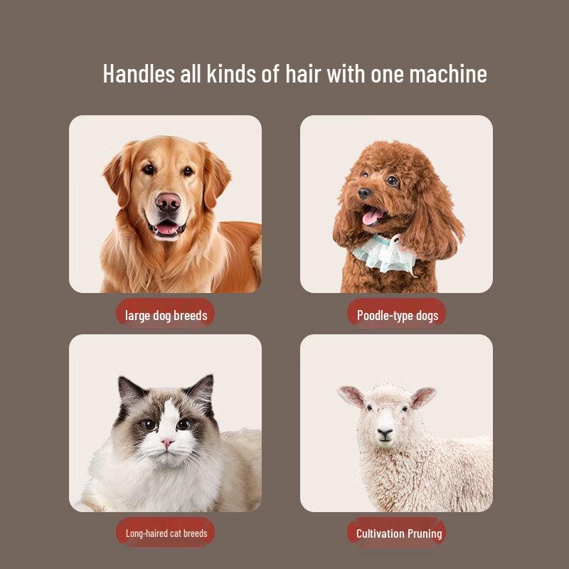 Qiman Professional Pet Grooming Clipper CN Plug (adapter Included)