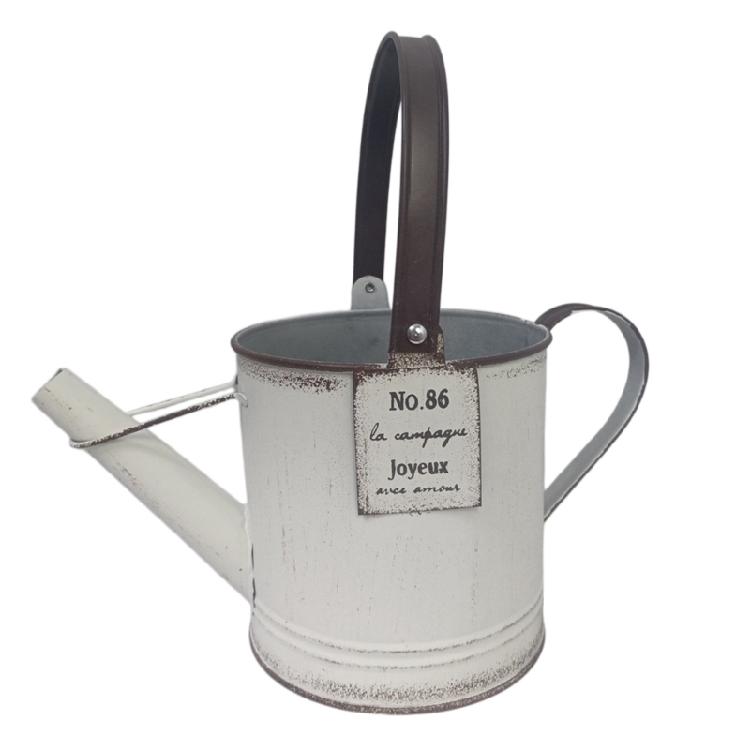 

Minimalists Watering Can Planter Iron Creative Flower Vase Flower Pot For Indoor Outdoor Plant Arrangement 1
