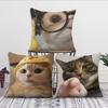 Niedlicher Kissenbezug Kissenbezug Katze Lustig Dekoration Zimmer Zuhause Sofa Wohnen Büro Auto Nordische Schlichtheit