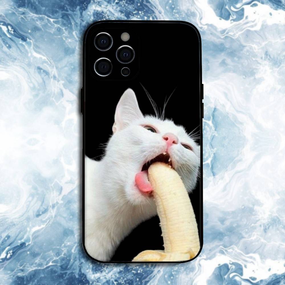 Pet Cat Funny memes Phone Case For iPhone17,16,15,14,13,12,11 Plus,Pro Max, Soft Silicone Black Cover