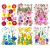 24Pcs Pressed Flower Mixed Dried Flowers Diy Art Floral Decors Collection Gift